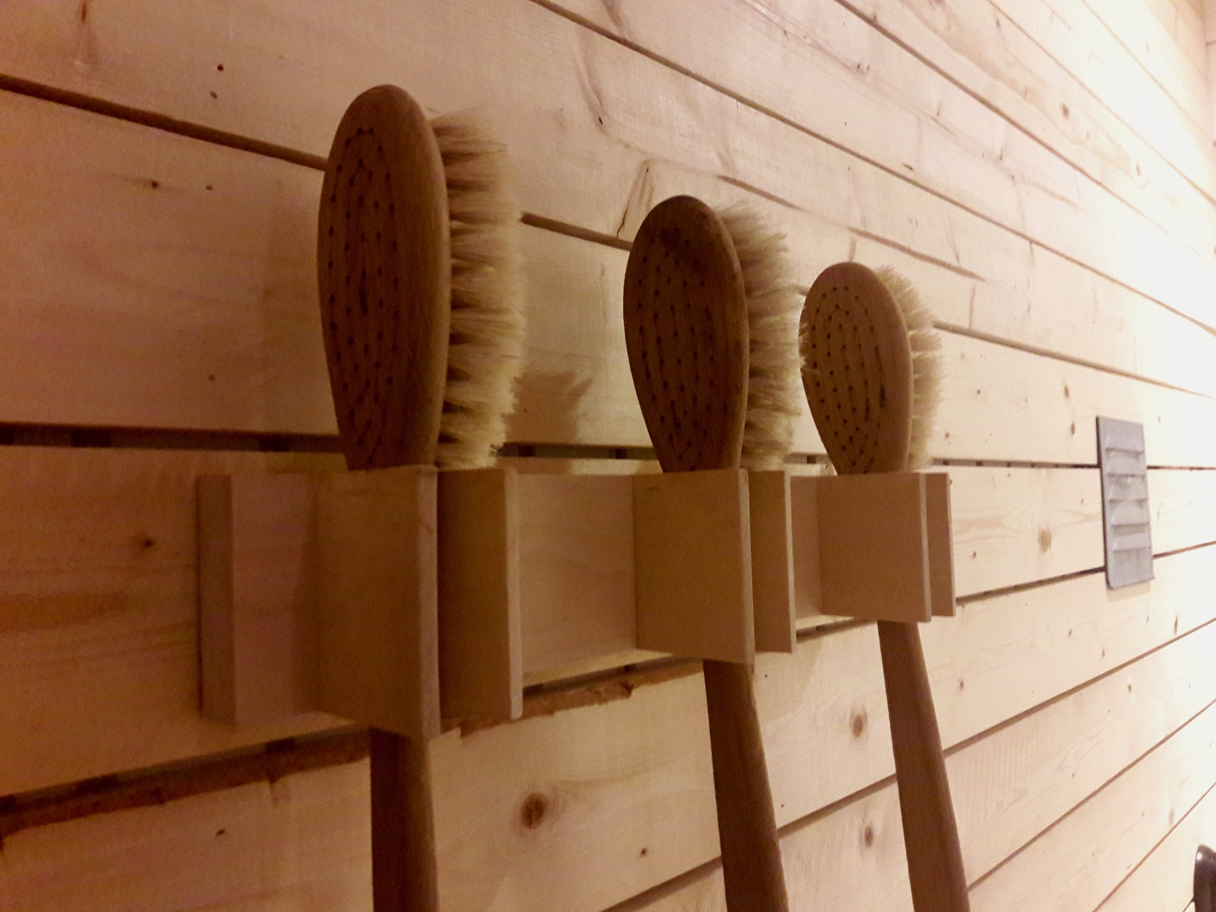 dry brushes at city backpackers hostel