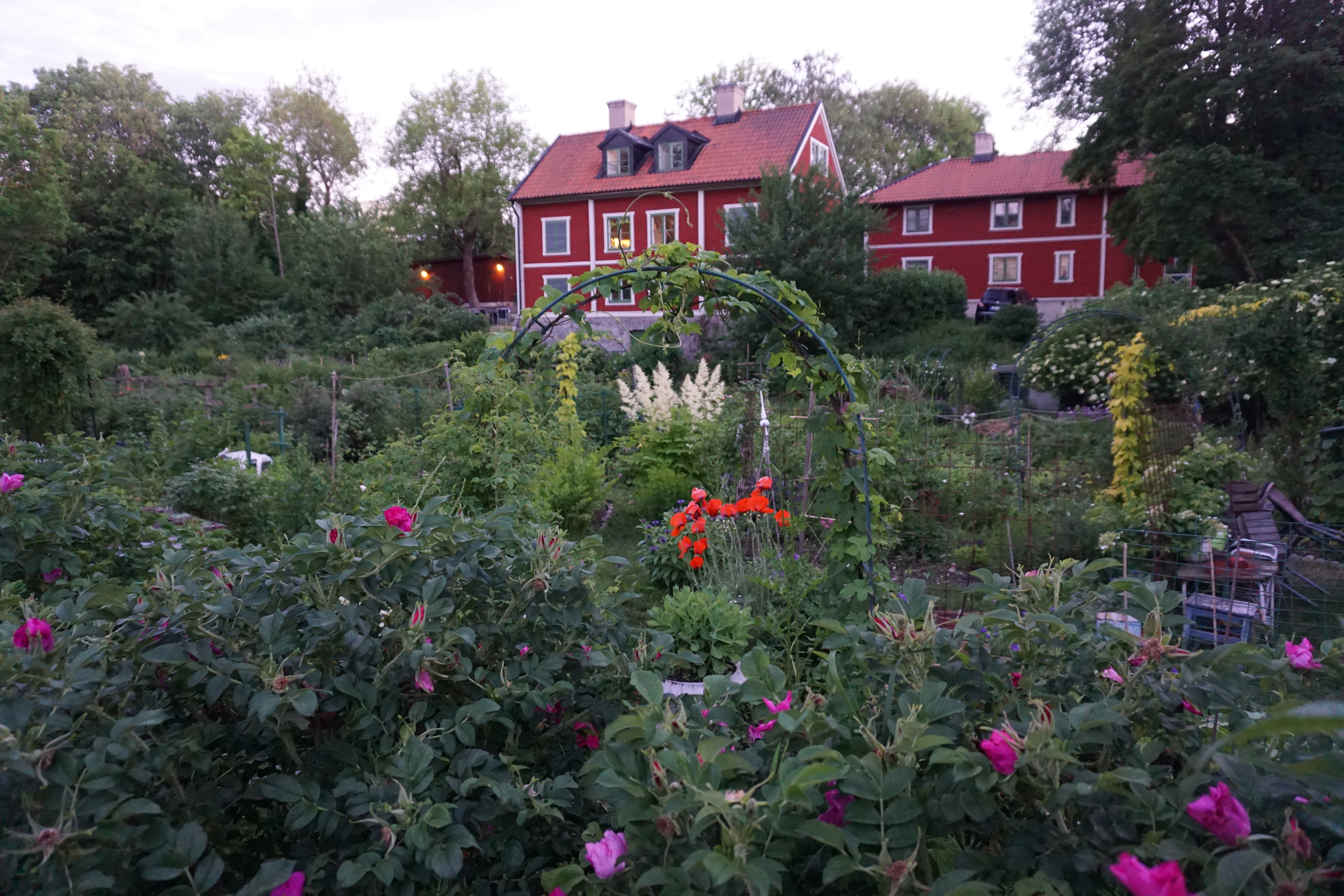 garden close to Långholmen hostel