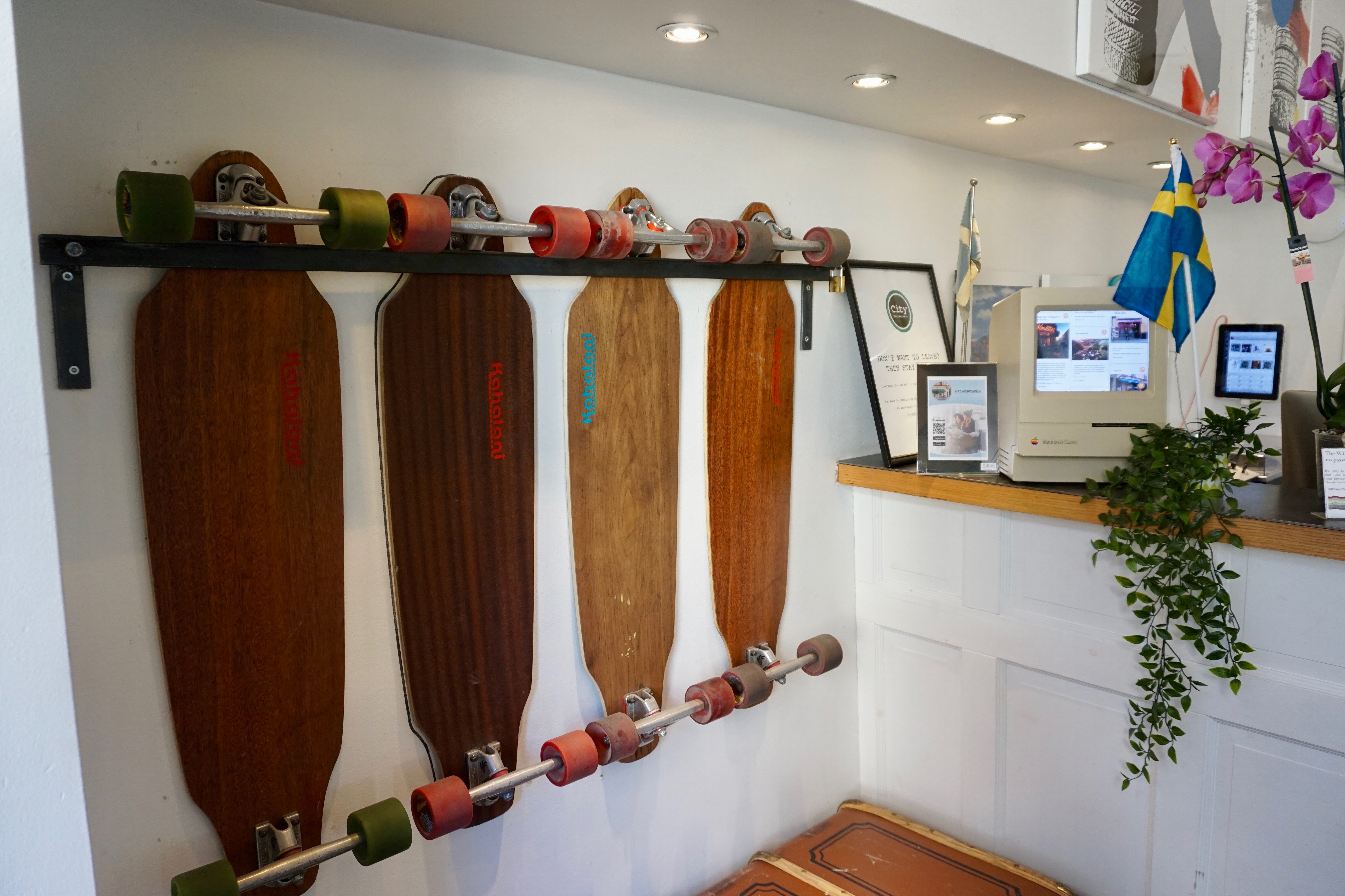 longboards at city backpackers hostel